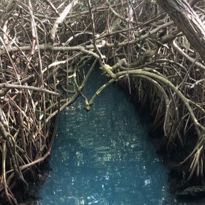 Meet your Posher, Marilyn